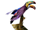 paper bird