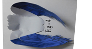Free Bird Paper Craft Model