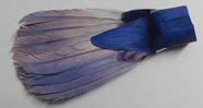 paper Models