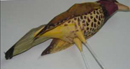 craft Models