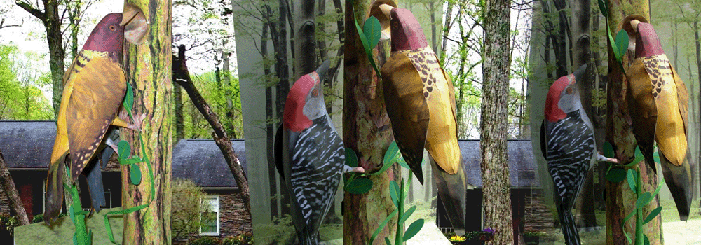 Woodpecker Paper Craft 3d Model