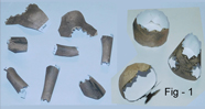 3d craft models