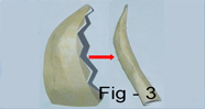 Elephant   Craft Model