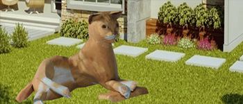 Paper Craft Animals 