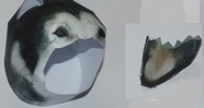 Dog  Head Paper   Model
