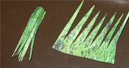 3d paper animal