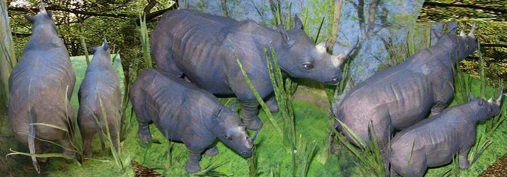 Rhinoceros Paper Craft 3d Model