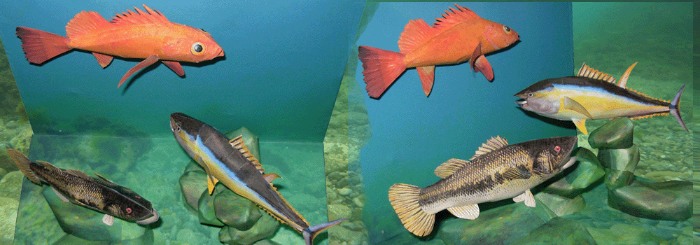 Aquarium Paper Craft 3d Model