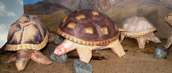 3D Paper Craft Models of Reptiles