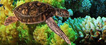 3D Paper Craft Models of Reptiles
