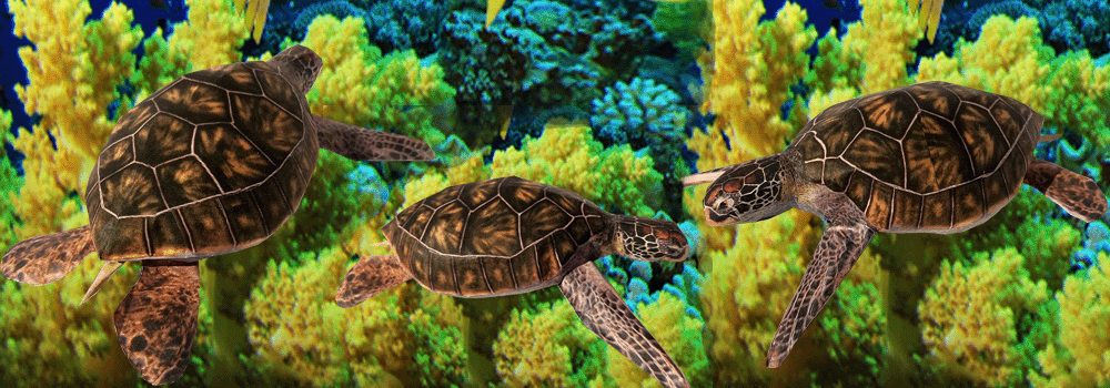 See Turtle Paper Craft 3d Model