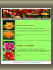  Web Template